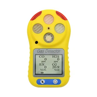 Rilevatore di gas multiplo
